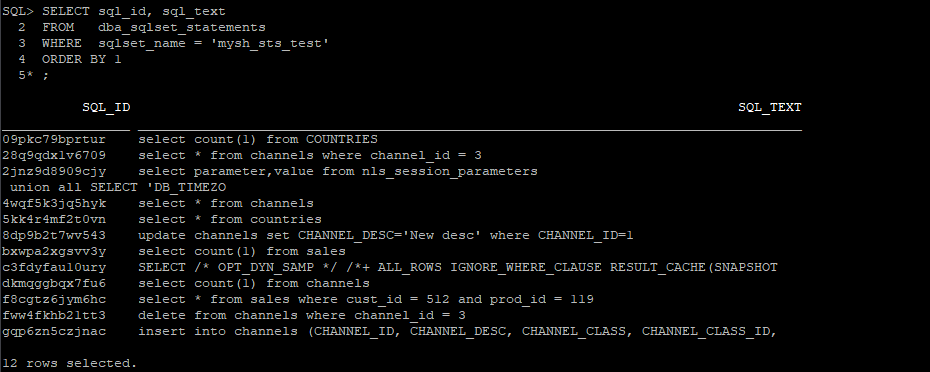STS照会イメージ